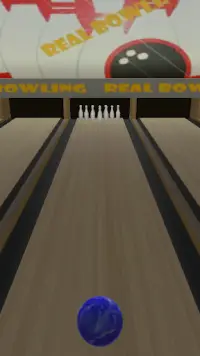 3D Bowling Screen Shot 1