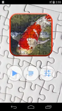 Koi Jigsaw Puzzle Screen Shot 0