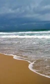 Mar de Tasmania rompecabezas Screen Shot 1