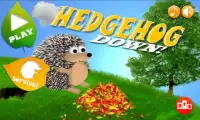 Hedgehog Down!: Downhill Dash Screen Shot 0