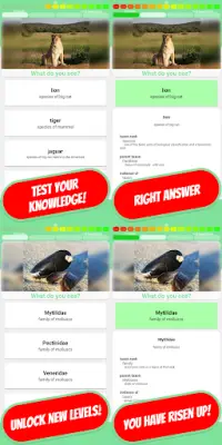 ANIMALS & PETS Quiz 2020 Screen Shot 10