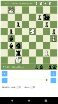 Шахматы Screen Shot 2