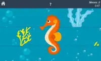 Sea Animals Puzzles! Screen Shot 2