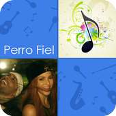 🎵 Shakira - Nicky Jam - Perro Fiel - Piano Tiles