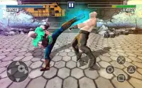 Street Real Kung Fu Fight: Free Fighting Games Screen Shot 2