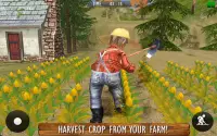 Pouco Agricultor Cidade Jogos Screen Shot 12