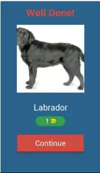 Dog Quiz Screen Shot 6