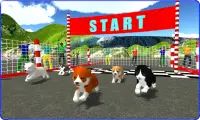 Cute Puppy Dog Racing Sim 2017 Screen Shot 0