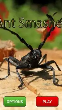Ant Smash Funny Screen Shot 0