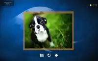 Puppy Dog Jigsaw Puzzles Screen Shot 2