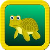 Turtle Quest – Match 3 Jewels!