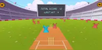 Bat Ball Cricket Screen Shot 5