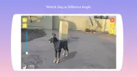 Dog in AR Screen Shot 5