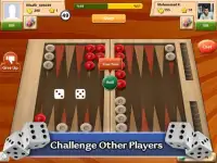 Maxi Backgammon Screen Shot 9