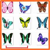 Top Butterflies Matching Games