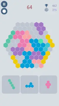 Hex 101! Hexagonal Block Puzzle Game Screen Shot 4