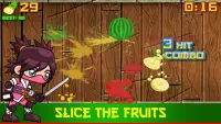 Fruit Slash Free Screen Shot 4