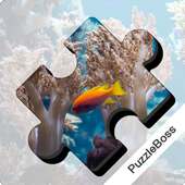 Jigsaw Puzzles: Aquarium Fish