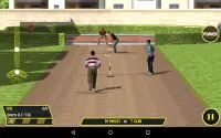 Street Cricket Screen Shot 5