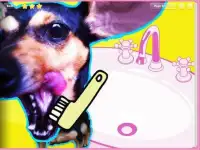 Zula the Dog - Virtual Pet Screen Shot 2