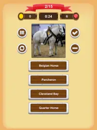 Horse Quiz Screen Shot 13