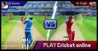 Smash Cricket Screen Shot 0