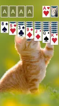 Solitaire Theme 🐱 Screen Shot 0