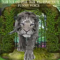 Talking Big Cat Screen Shot 0