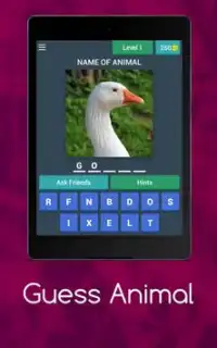 Animals Quiz Screen Shot 7