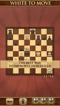 Mate in One Move: Chess Puzzle Screen Shot 23