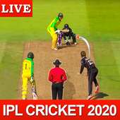 Live Bigg Boss Cricket Games; Echte cricket game