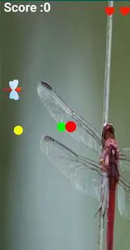 Dragon Fly Screen Shot 2