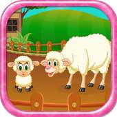Sheep Baby Birth
