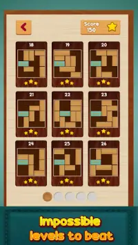 Impossible Unblock Puzzle - Pin Block Board Game Screen Shot 3