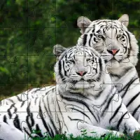 Tiger-Puzzle-Spiele Screen Shot 3