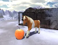 Snow Hill Pony Horse Simulator Screen Shot 13