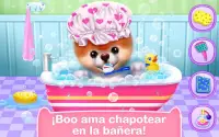 Boo – El Perro Más Lindo Screen Shot 2
