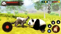 The Panda Screen Shot 2