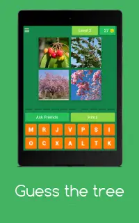 Guess the tree - Tree species identification quiz Screen Shot 8