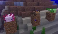 Axolotls Mod voor Minecraft PE Screen Shot 2