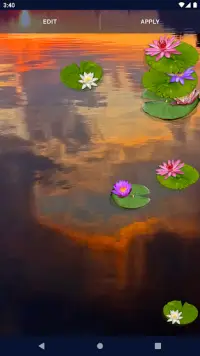 Water Lily Live Wallpaper Screen Shot 5
