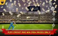 Bat2Win Free Cricket Game Screen Shot 1