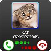 Fake Call Cat Prank
