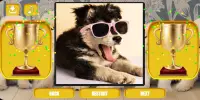 Dogs & puppies jigsaw puzzles Screen Shot 7