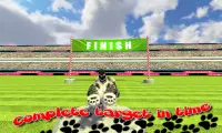 Cute Cat Stunts Show Screen Shot 4