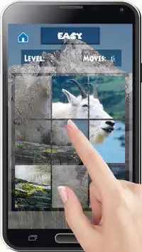 Mountain Goat Puzzles Animal Screen Shot 1