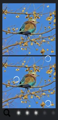 Spot the Difference Birds Screen Shot 0