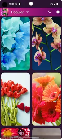 Flowrify - Flower Wallpapers Screen Shot 4