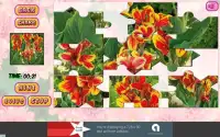 Puzzles of Flowers Free Screen Shot 14