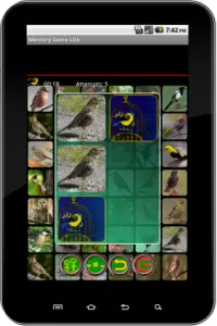 True Birds Memory Game Free Screen Shot 2